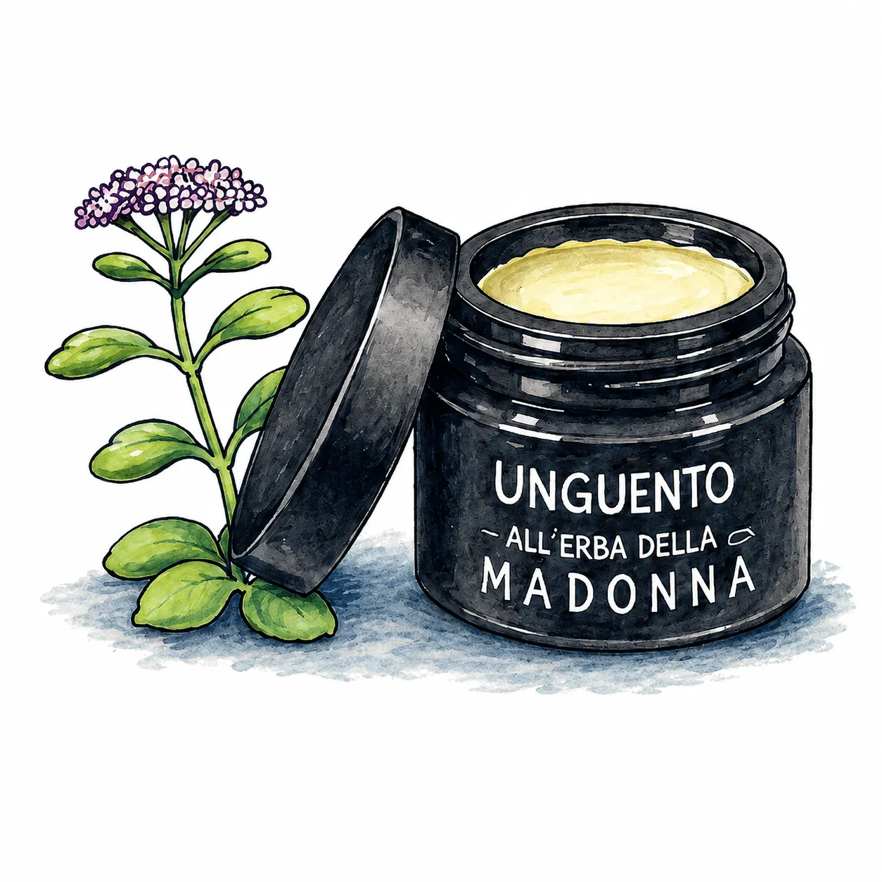 Illustrazione fumettistica dell'unguento all'Erba della Madonna con barattolo scuro, crema giallo pallido e pianta botanica.